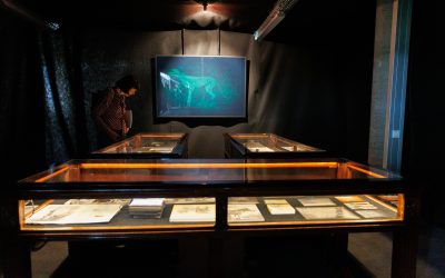 L’art digital català es desplega a l’Ars Electronica