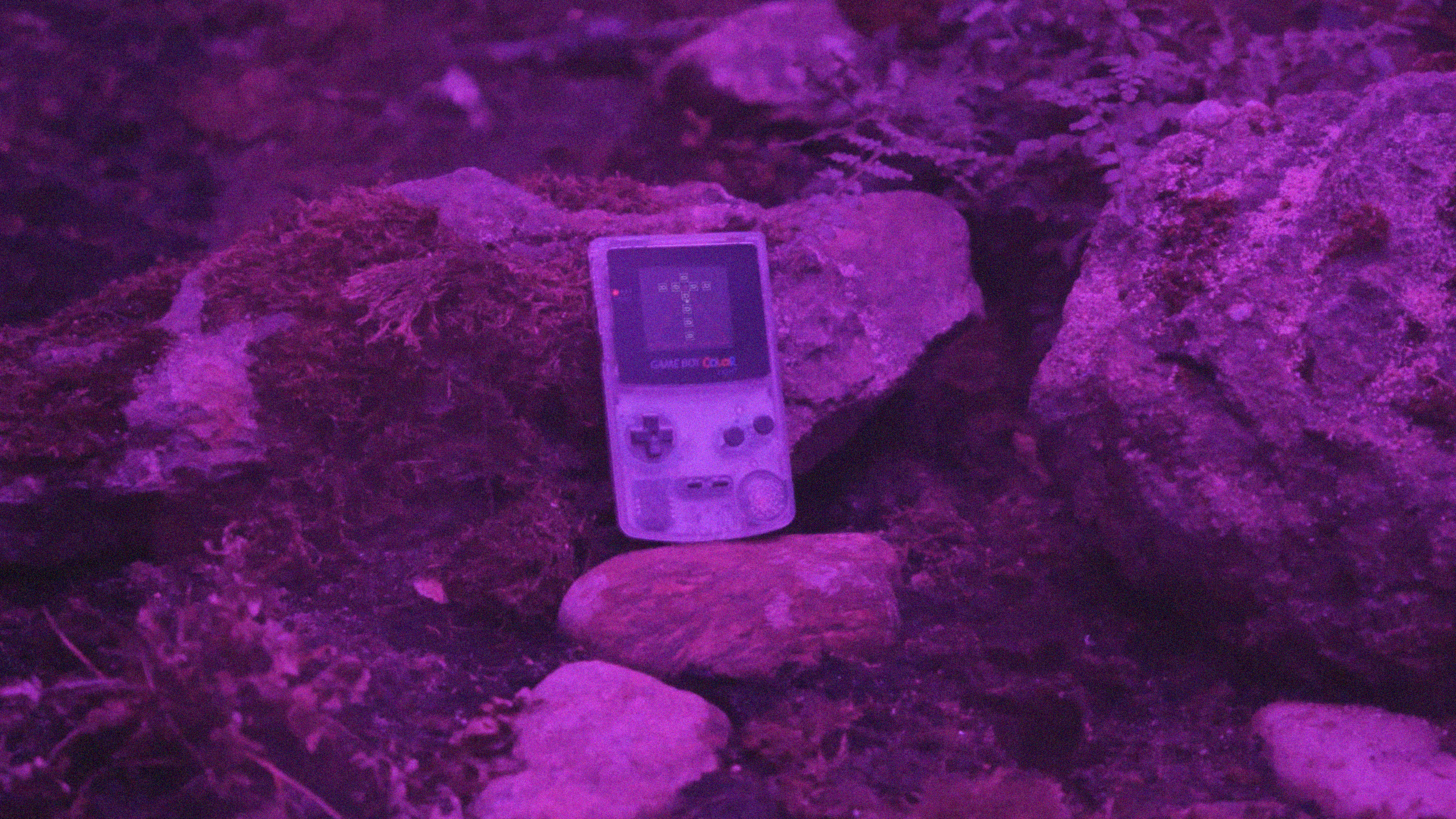 Slowly fading into data / Albert Barqué-Duran
