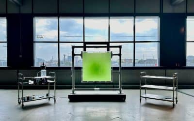 Photosynthesis at the interface of Arts, Sciences and Society