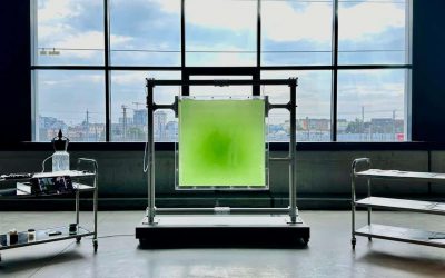 Photosynthesis at the interface of Arts, Sciences and Society